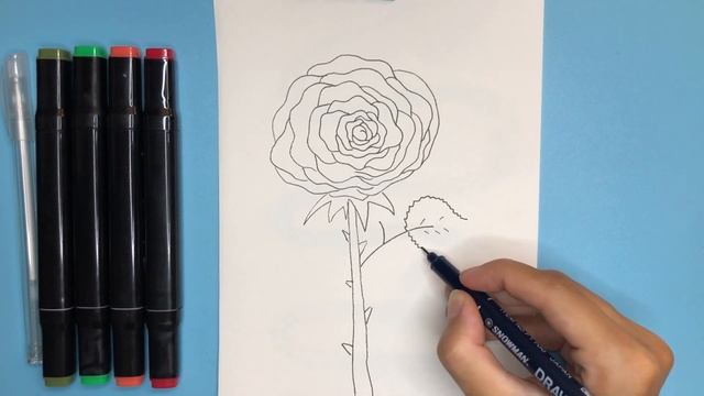 Как нарисовать розу / Роза / Рисунки для детей смотреть онлайн