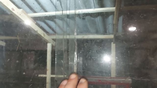 С такими этот способ не работает. Первое яйцо. смотреть онлайн