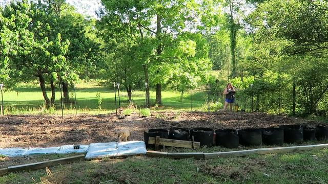 2022 Spring Garden Planting - Sowing Seeds - Planting Asparagus Crowns - Transplanting 128 Tomatoe смотреть онлайн