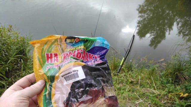 Ловля сазана, как поймать сазана #ru_kompass #рыбалка #fishing