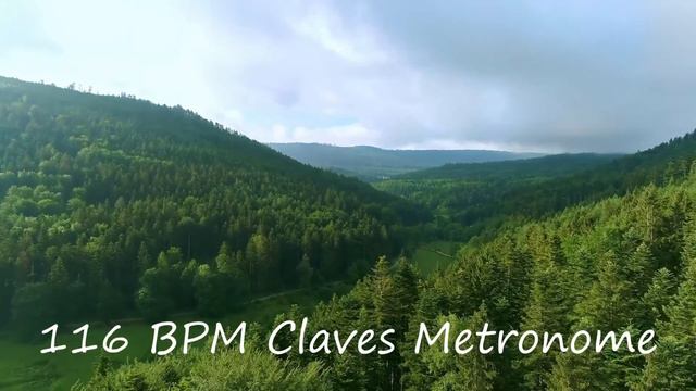 116 BPM Claves Metronome смотреть онлайн