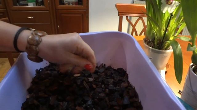 ? Идеальный грунт для орхидей фаленопсис, камбрия, мельтония и цимбидиум. Своими руками! смотреть онлайн