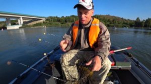 Рыбалка на Дону. Ловля на яйца (кольцо). Сазан порадовал своими поклевками.