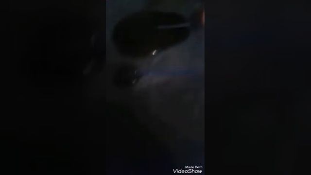 Как сделать чупа чупс дома смотреть онлайн