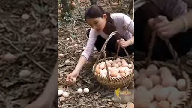 Aikow... Ак эмгек.... смотреть онлайн