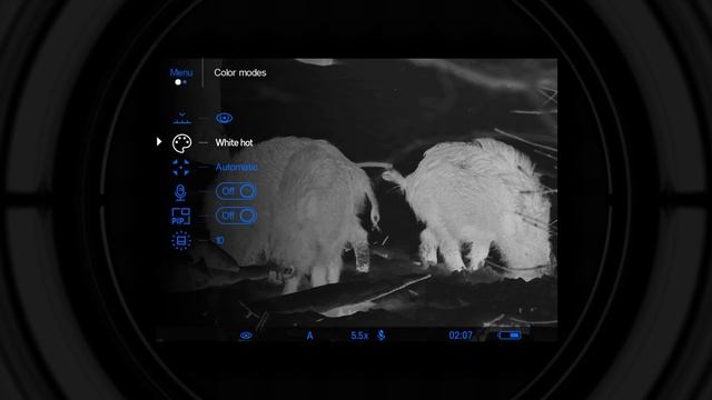 PULSAR / AXION смотреть онлайн