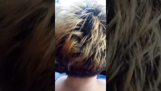 Пикси стрижка 2018 смотреть онлайн