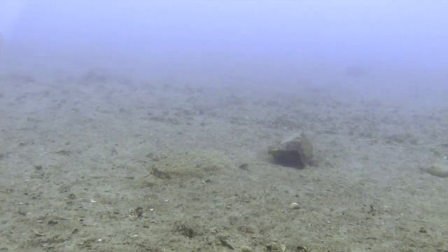 1 Hour Dive In Lake Tanganyika - Chimba, Zambia
