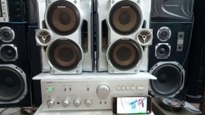 SONY SS-RG440