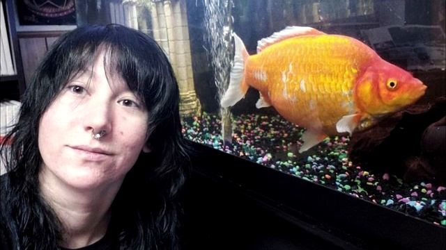 Девушка купила маленькую золотую рыбку, но та превратилась в монстра, только посмотрите на это смотреть онлайн