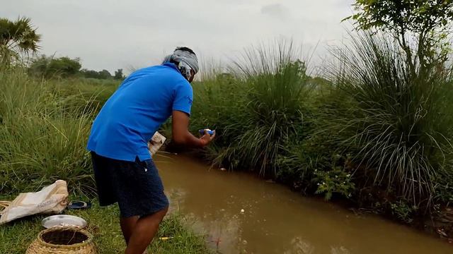 Fishing Video🐠🎣 || I would not have believed if I had not seen so many fish in the village canal смотреть онлайн