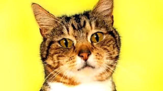 Греческая нумерология смотреть онлайн