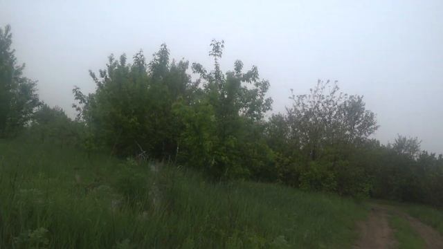 ВОЛШЕБНЫЙ ЗЕЛЁНЫЙ НАПИТОК ИЗ ТРАВ :)