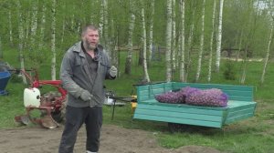 «Как сажал, как страдал» посадка картофеля с помощью КС01-01 и окучника. МТЗ Weima WM188F 13л/с.