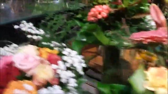 187# Цветочный магазин в январе. Голландия. Bloemen wienkel. Holland. смотреть онлайн