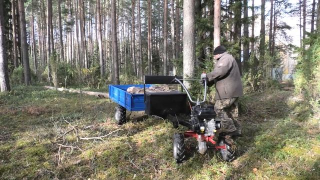 Валежник. Заготавливаю на дрова с мотоблоком МОБИЛ К МКМ 3 про. смотреть онлайн