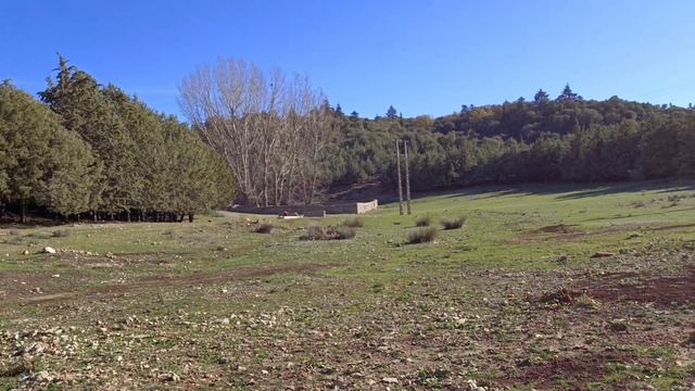 walking in Ifrane Morocco. смотреть онлайн