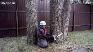 Оборудование и снаряжение арбориста