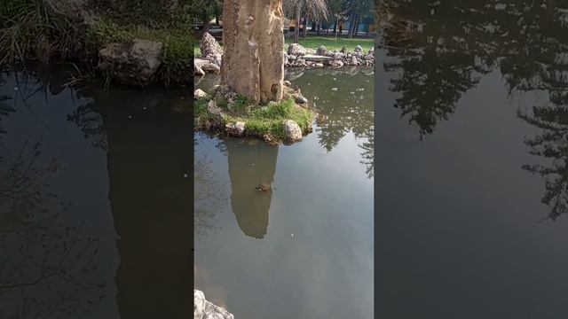 ВЕСНА ПРИШЛА В ГОРОД Ч.2. смотреть онлайн