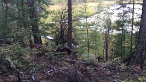 Охота в Якутии. Горный район