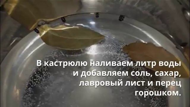 Маслята маринованные на зиму. Маринованные грибы на зиму. смотреть онлайн