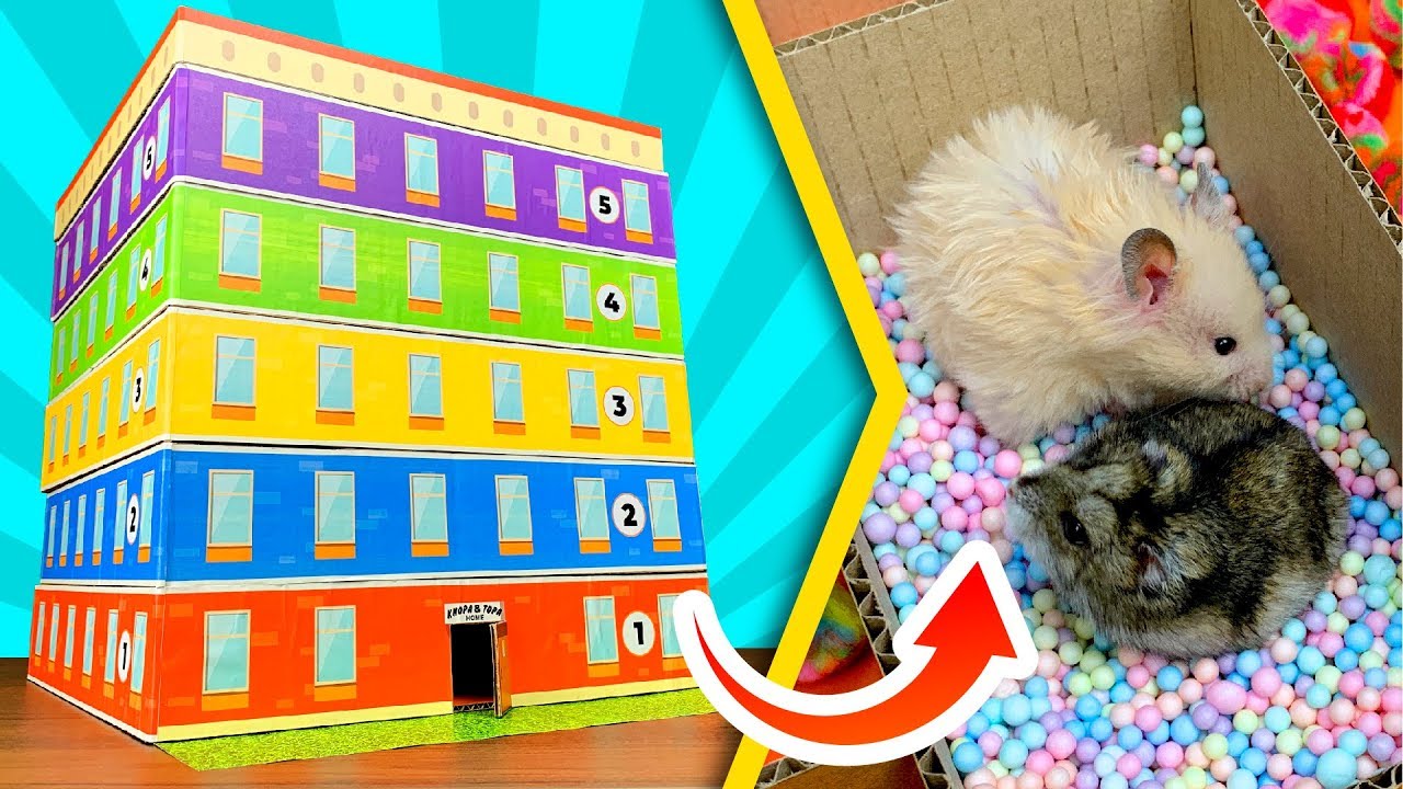 Дом - лабиринт для хомяков - 5 Этажей ? _ DIY смотреть онлайн