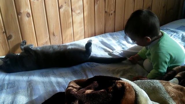 не тяни кота за хвост смотреть онлайн