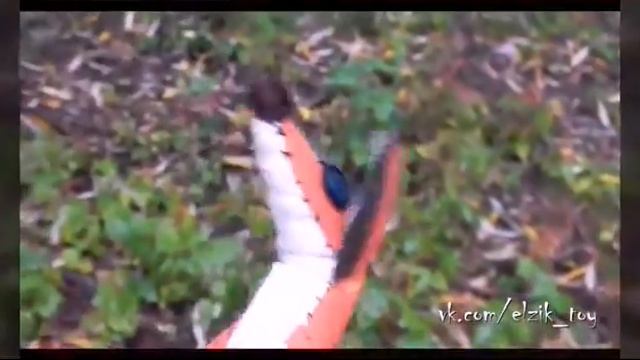 Лис из маленького принца смотреть онлайн