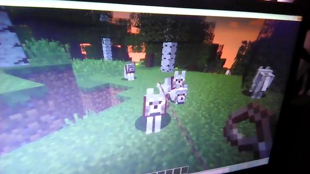 Как приручить волка в собаку смотреть онлайн