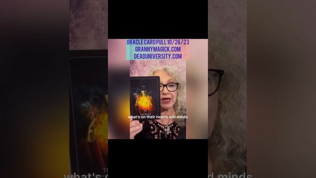 Halloween Oracle Card Pull 10/26/23 Witches Weavers of Earthly Worlds & A Catalyst For Change смотреть онлайн