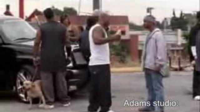 xdg смотреть онлайн