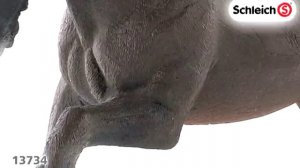 Ширский жеребец Schleich 13734