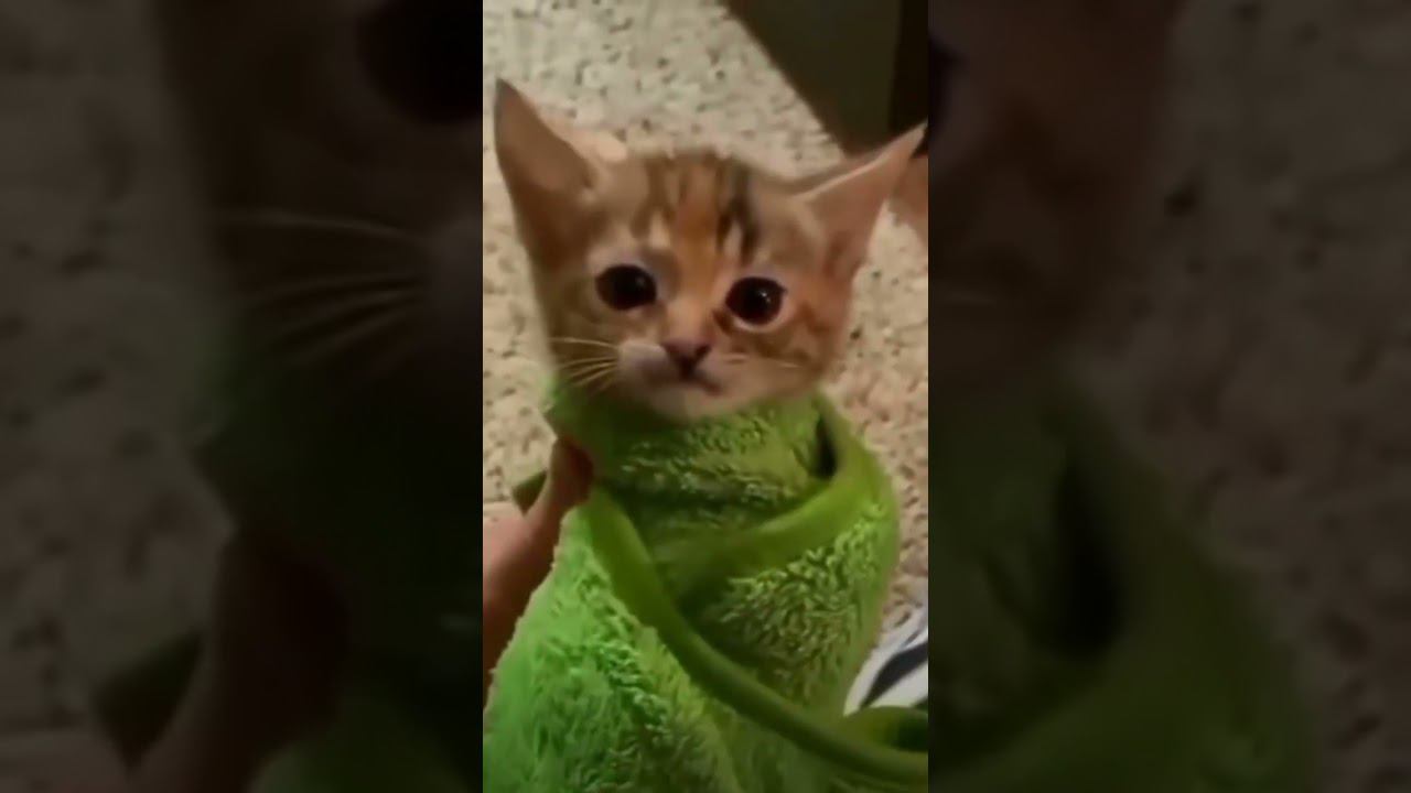 8 октября 2022 г. смотреть онлайн