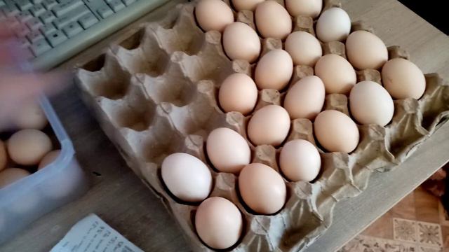 Яйцо 🐔🥚🥚🥚 продают Дёшево в Светофоре. Мы всегда там Покупаем Продукты. Моё МНЕНИЕ!!!  10.12.22г.👍🙂💖