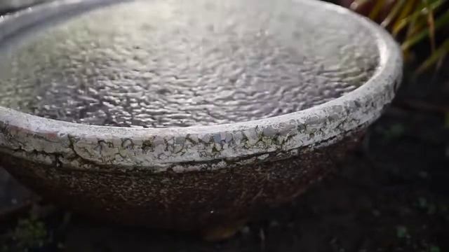 Rain Sounds For Sleep шум дождя  рекомендаций,#rainsounds #forsleep шум#recommendations#추천#推奨事項