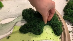 Изготовление дизайнерского Панно из стабилизированного мха