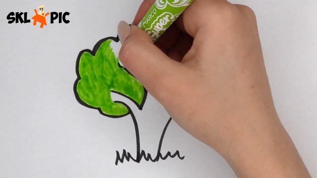 Раскраска для Детей ДЕРЕВО. Как Нарисовать ДЕРЕВО смотреть онлайн