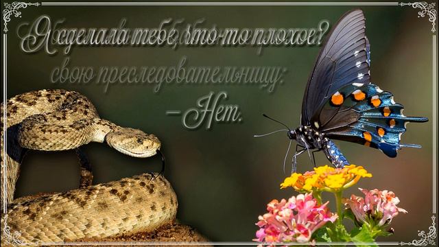 НОВИНКА ! Притча о бабочке и змее смотреть онлайн