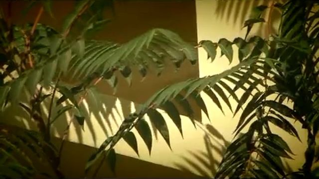 Комнаты и квартиры в Широкой балке смотреть онлайн