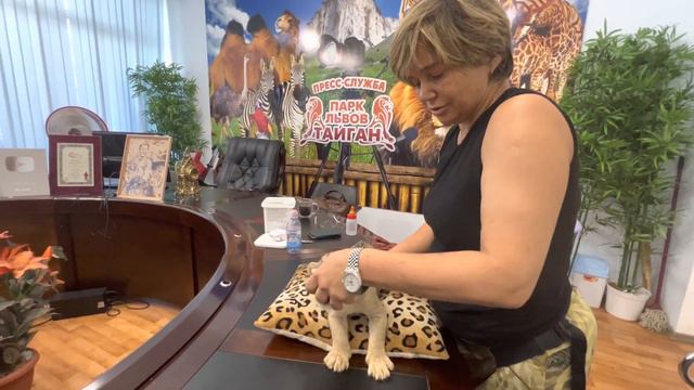 Оксана Зубкова: "Боюсь ли я ? Я НИКОГДА не сделаю того, что не одобрил бы мой муж!" смотреть онлайн