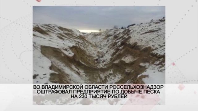 Во Владимирской области Россельхознадзор оштрафовал предприятие по добыче песка смотреть онлайн