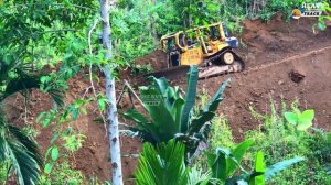 Бульдозер D6R XL прокладывает новую дорогу.