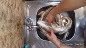 Осенний жор щуки засолка сушка щуки