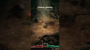 Grim Dawn. RTX 3050. Погребальная пещера.