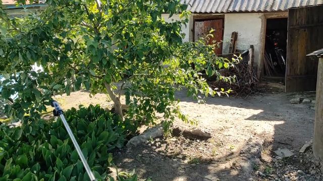 Бытовой опрыскиватель на батарейках смотреть онлайн