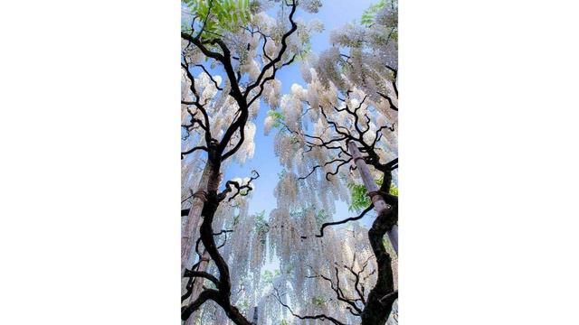 Весна! Лепота!!! смотреть онлайн