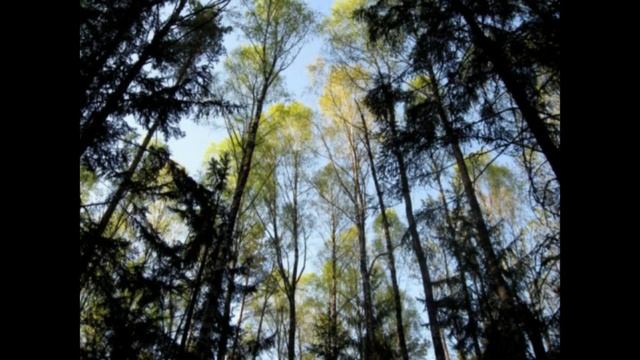 Артем Черепко - Немного(душевный стих) смотреть онлайн