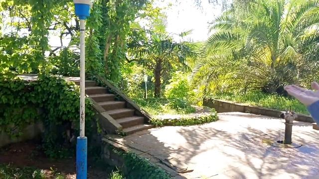 7. АБХАЗИЯ! ВО ЧТО ПРЕВРАТИЛАСЬ ДАЧА СТАЛИНА. НОВЫЙ АФОН. ВЕНИКИ ИЗ ЭВКАЛИПТА. смотреть онлайн