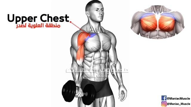 9 Exercises to Build Your Chest Fast -تمارين الصدرً смотреть онлайн