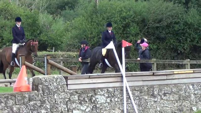 The Brereton Small Hack Class At The Royal International Horse Show 2017 video 2 смотреть онлайн